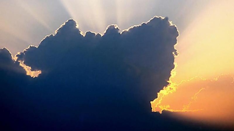 Cumulus Cloud Head